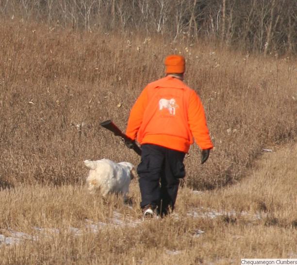Chequamegon Clumber Spaniels:: Out hunting