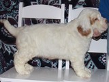 2019-02-18 Legacy Sully (94)