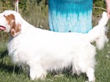 2021-08-15 Sully (9)