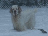 2-2-2016 snow photos (7)