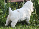 daisy10