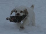 IMG_8700