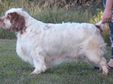 jessie 07-24-2022