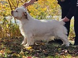 mable 3