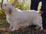 mable 4