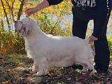 mable 6