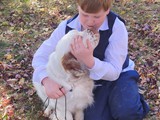 mable 8