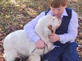 mable 9
