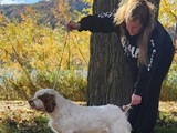 rissy 3