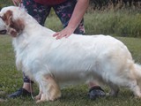 sully 07-24-2022 (42)