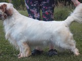 sully 07-24-2022 (48)