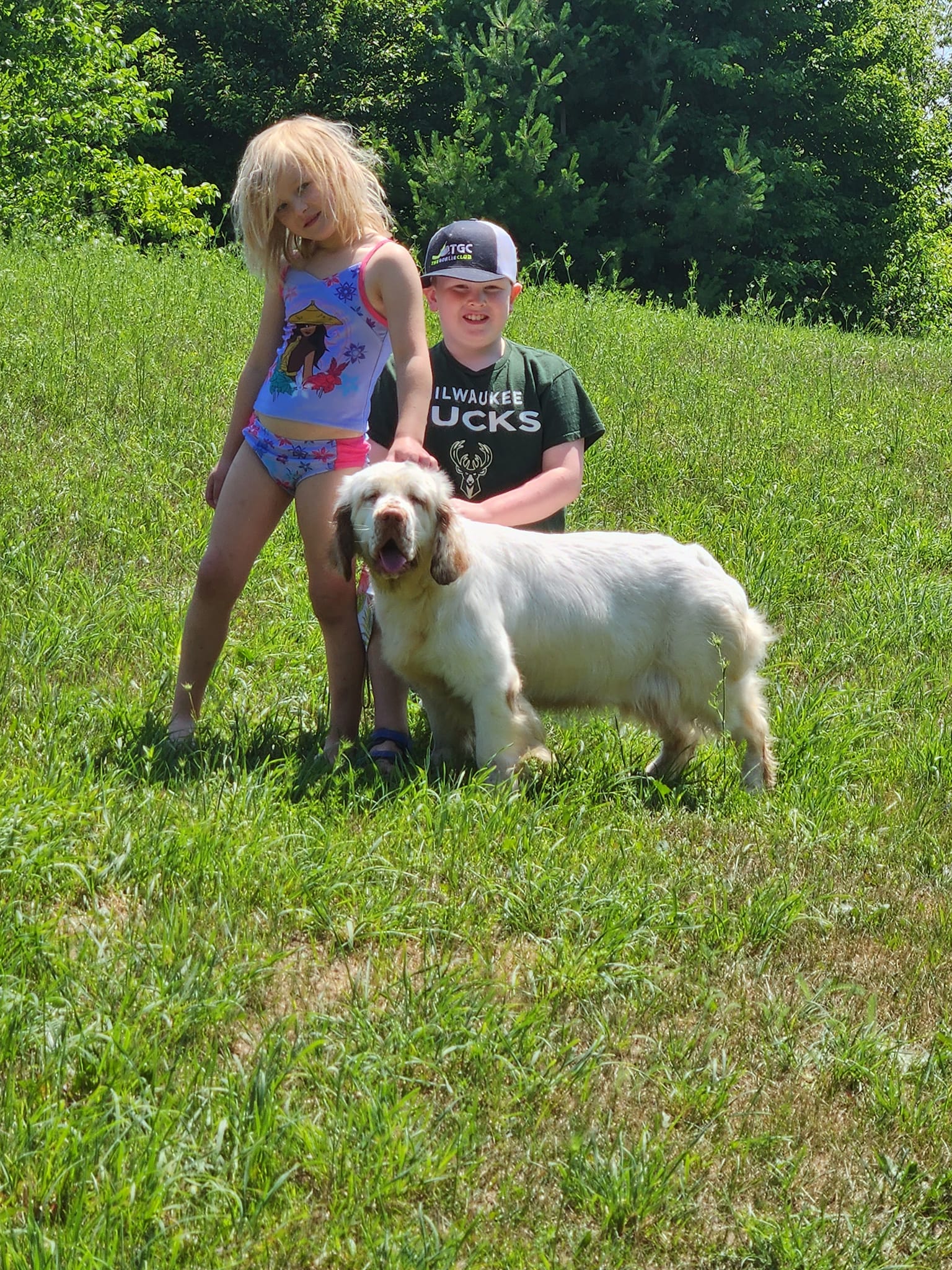 Chequamegon Clumber Spaniel:: Redbud's Somebody to Love with Nexus